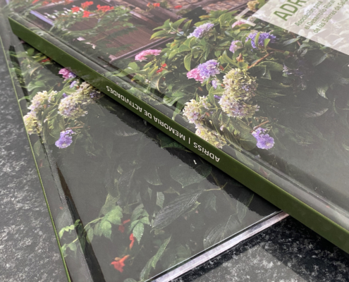 CATALOGO TAPA DURA CATALOGO TAPA DURA